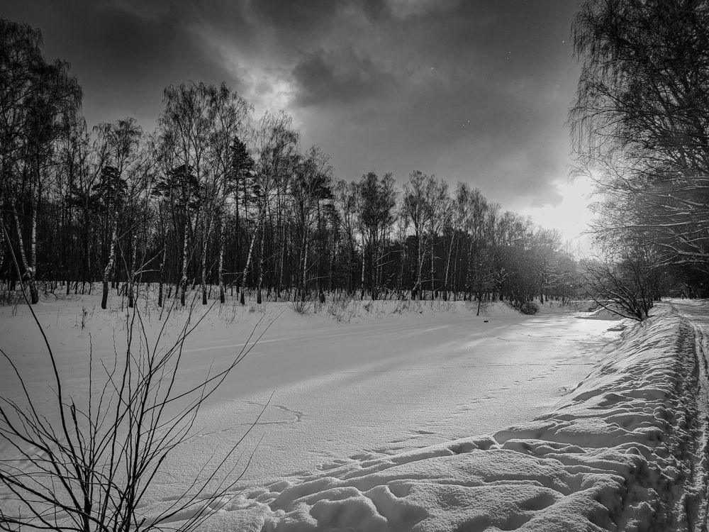 Photograph by Дмитрий Плотников