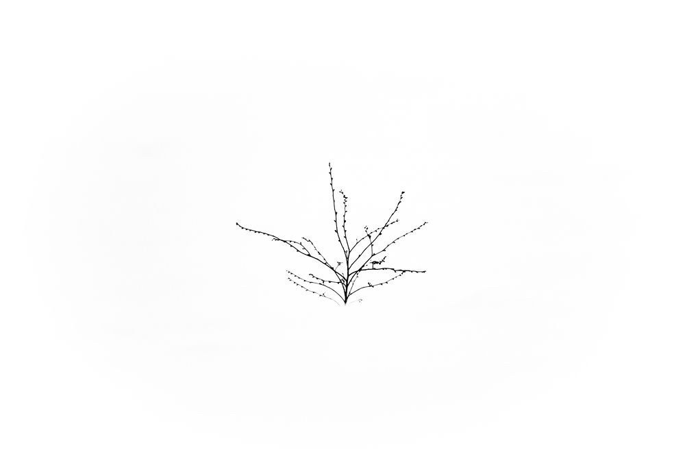 Photograph by Михаил Бирюков