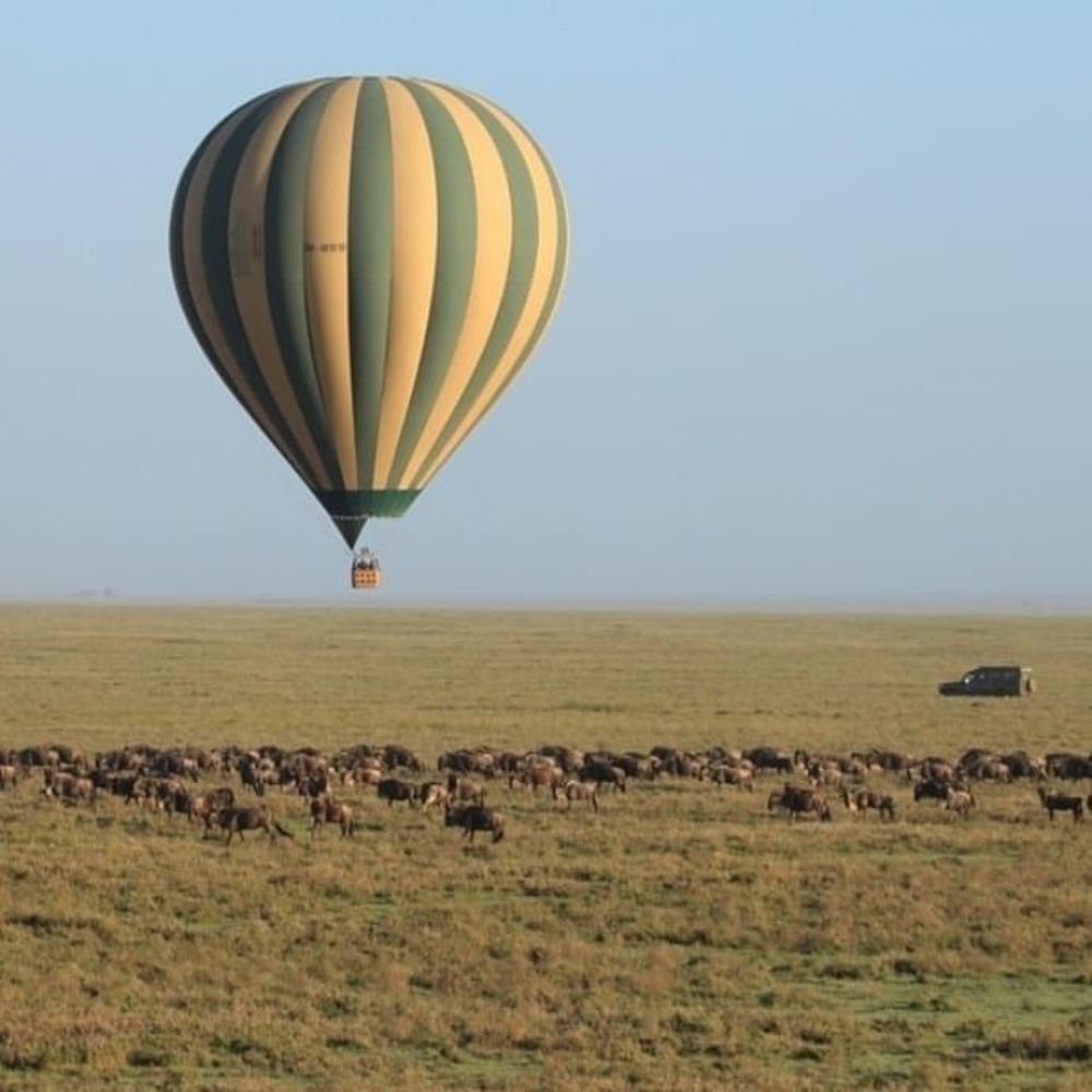 Фотография автора Татьяна Мазепова
