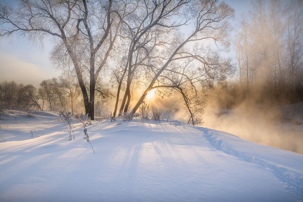 Фотография автора Анатолий Зверев