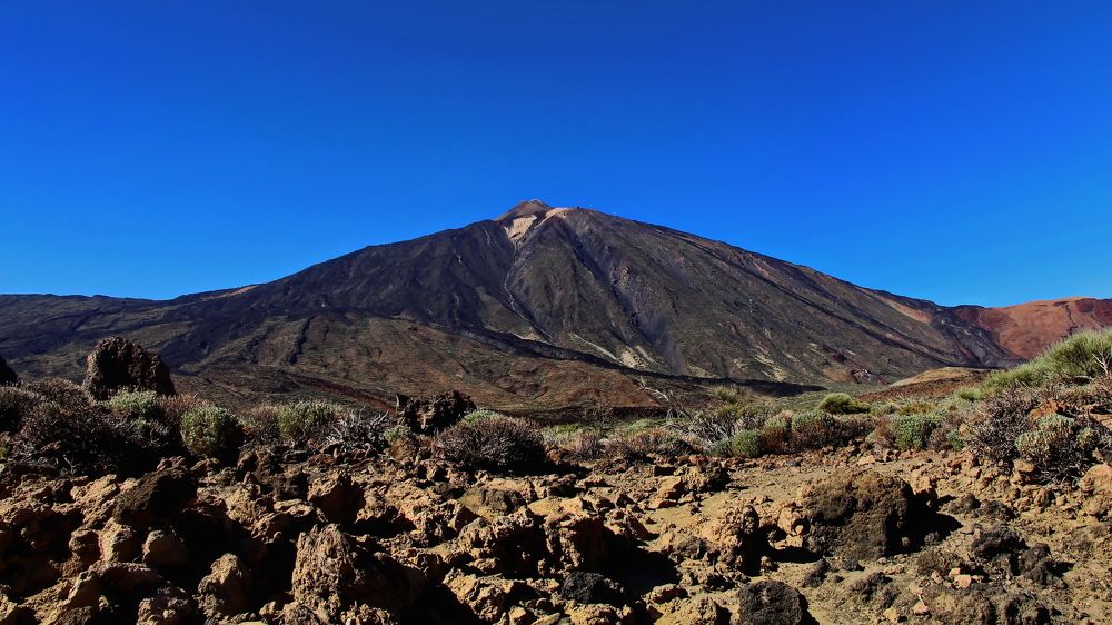 Photograph by Aleksandr Larionov