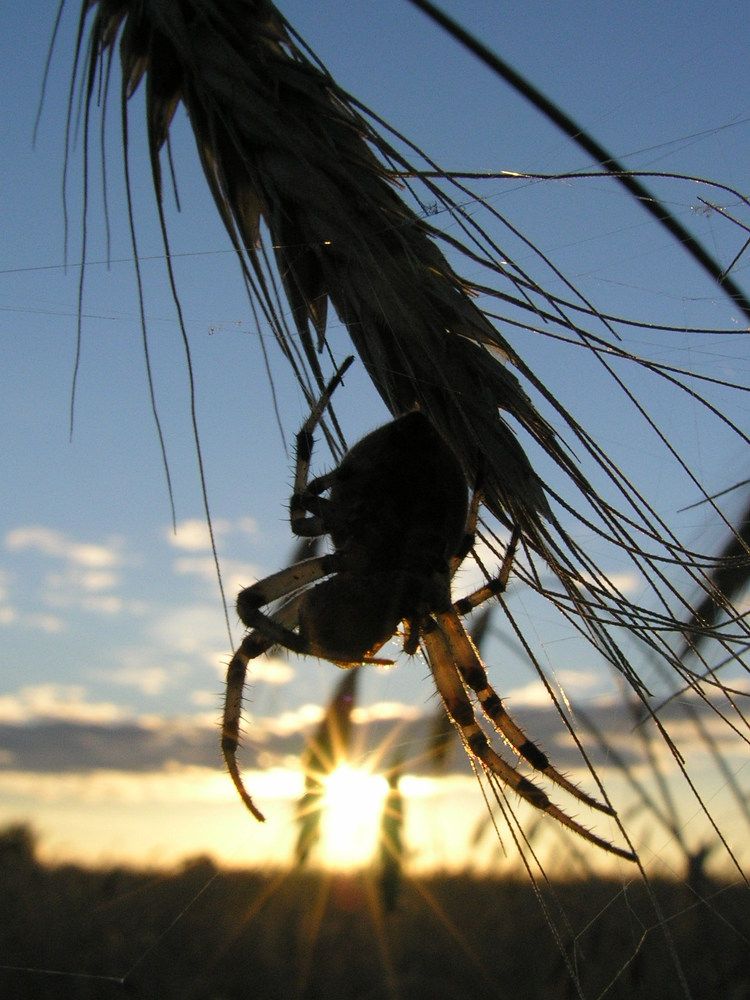 Photograph by Юрий Яковлев