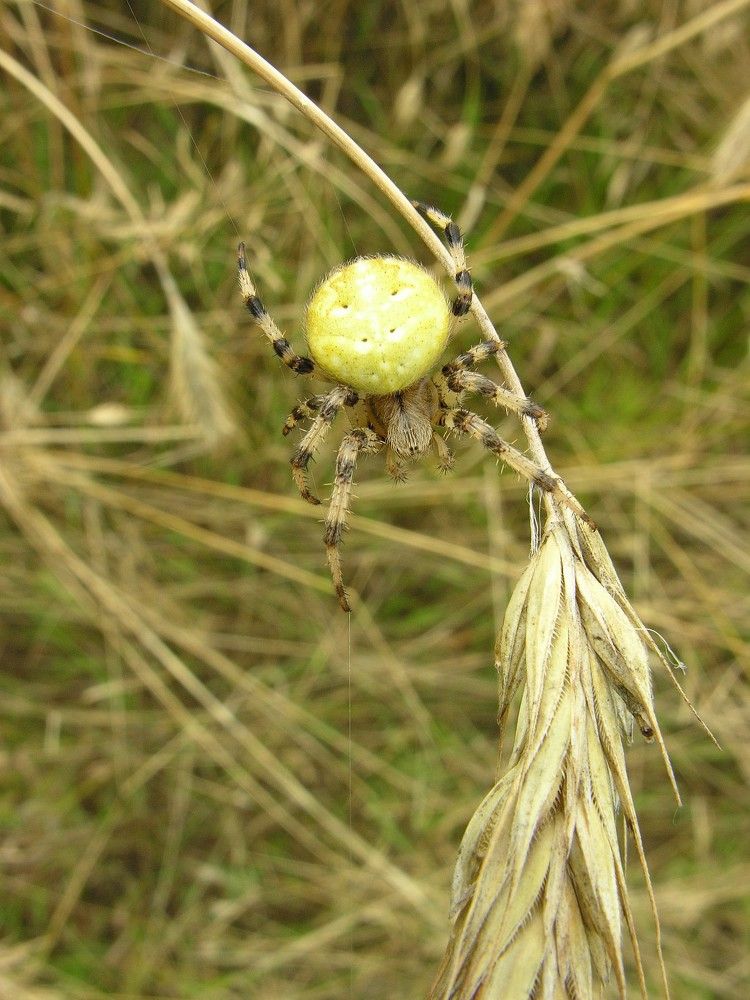 Photograph by Юрий Яковлев