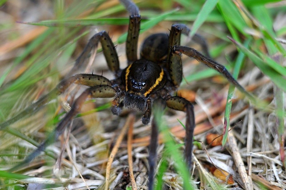 Photograph by Юрий Яковлев