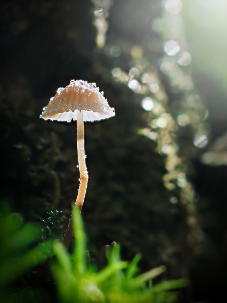 Photograph by Сергей Калёв