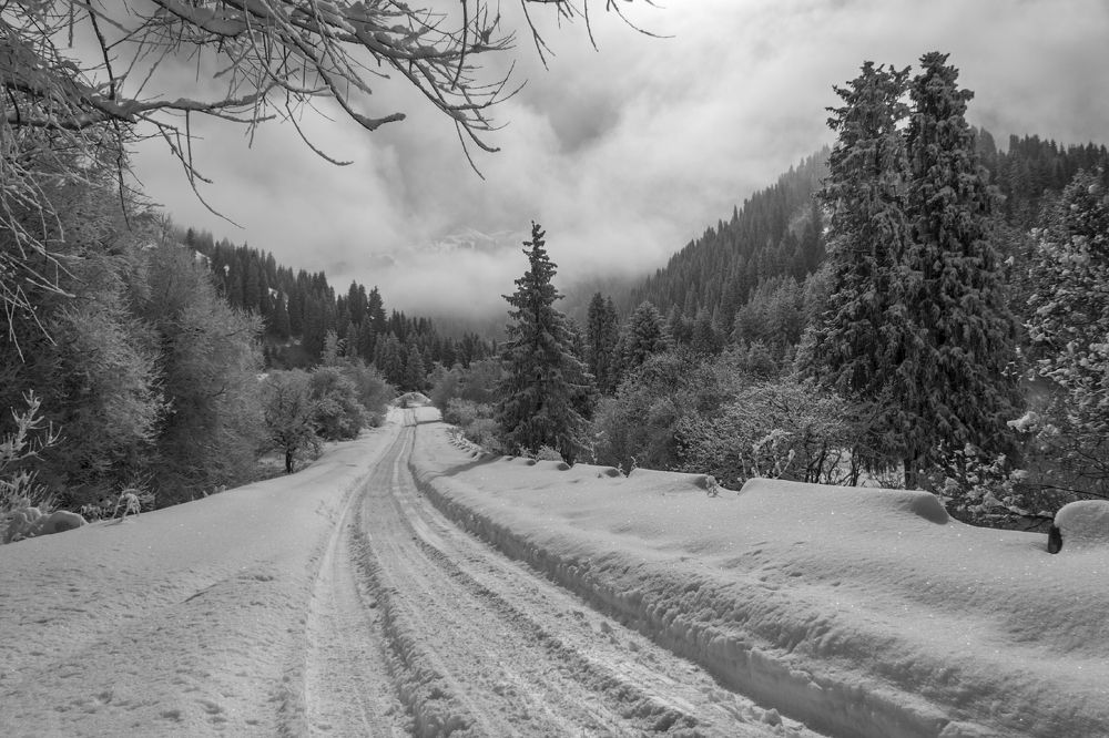 Photograph by Леонид Дьяченко