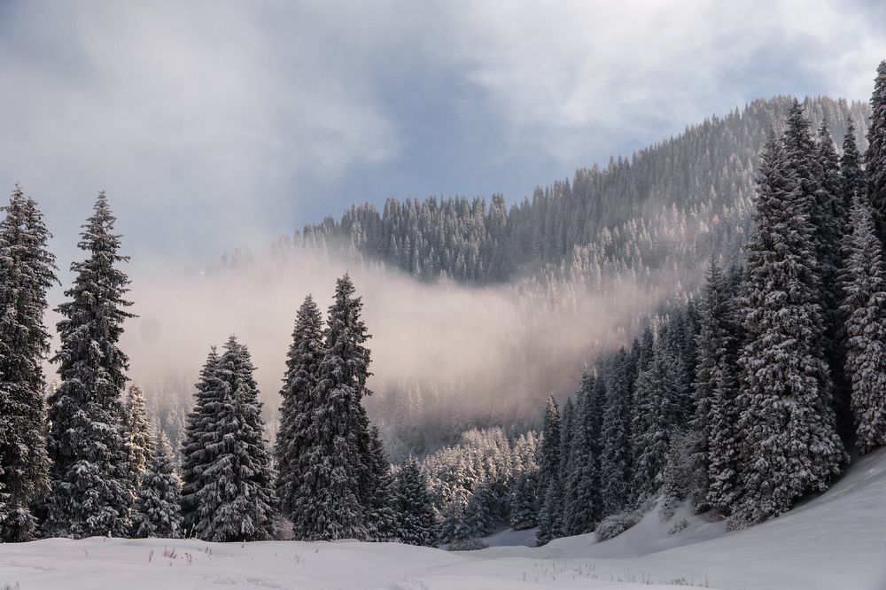 Photograph by Леонид Дьяченко