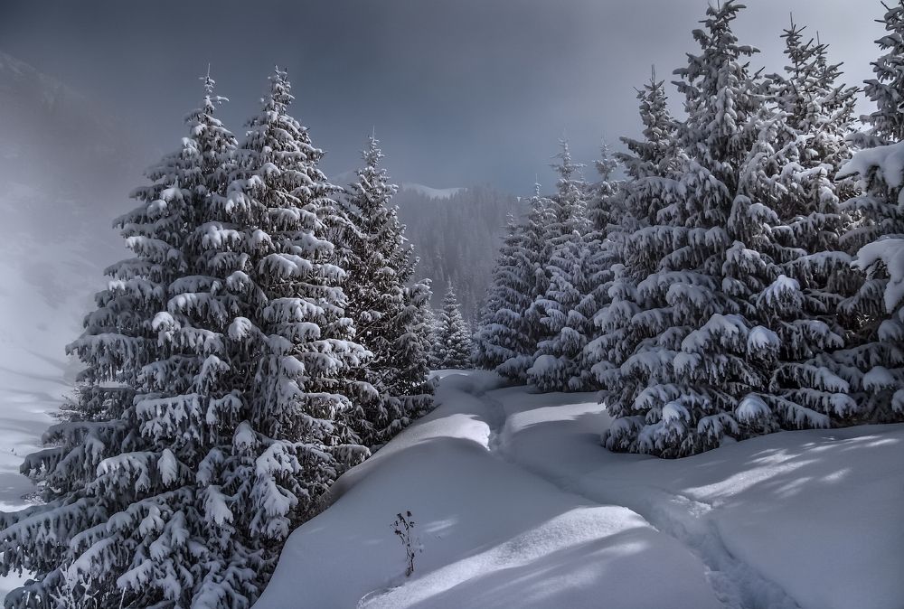 Photograph by Леонид Дьяченко