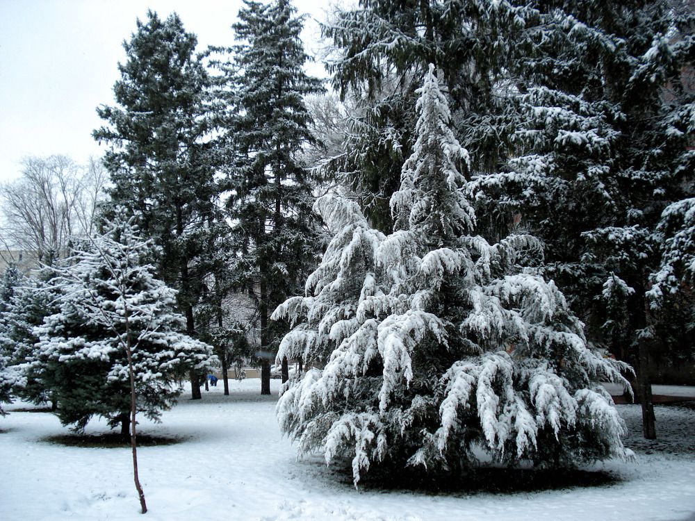 Photograph by София Гавриловна Вотякова