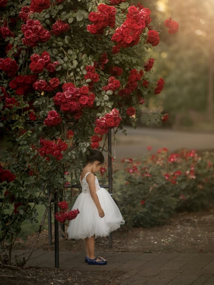 Photograph by Xin Wang