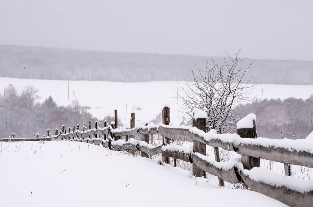Photograph by Евгений Ижуков