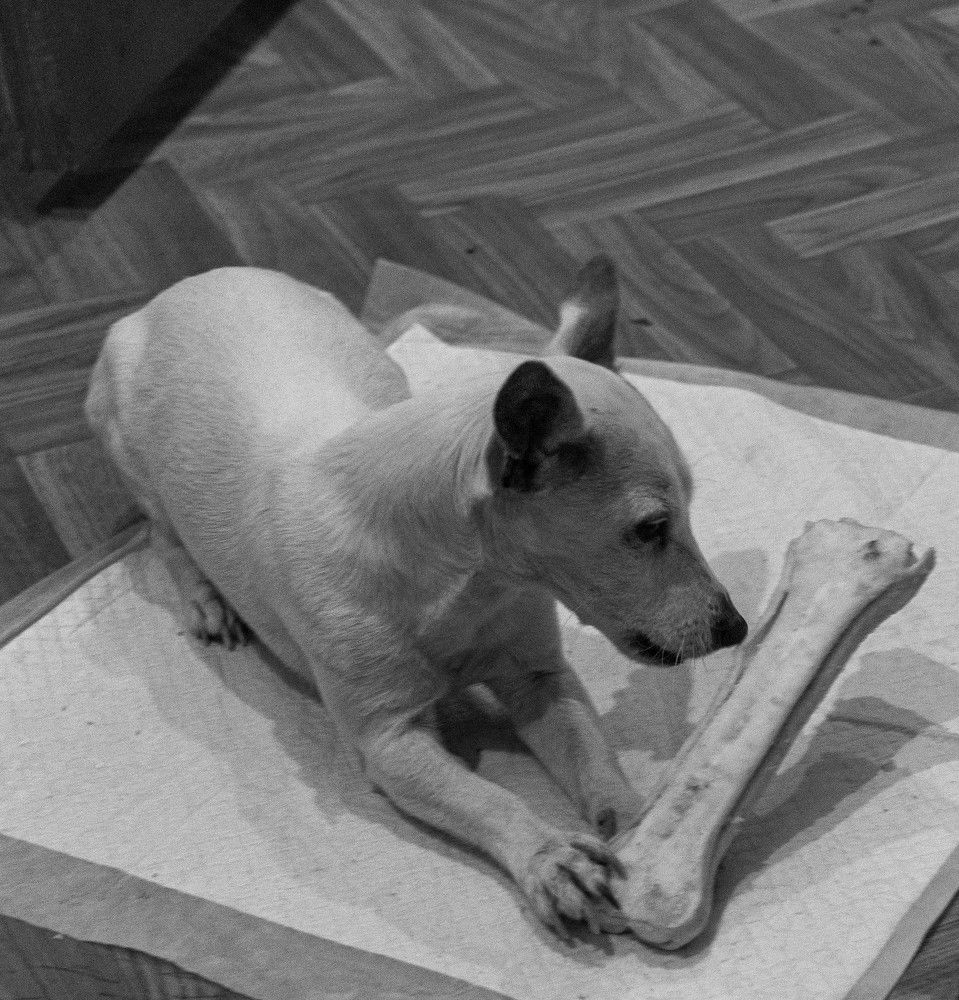 Photograph by Osvalds Kretainis