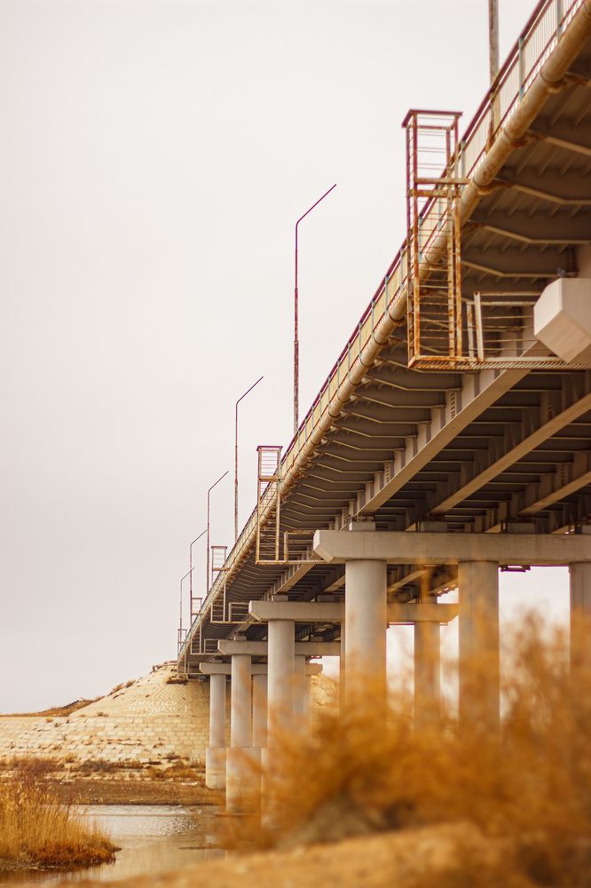 Photograph by Ирина Коновалова