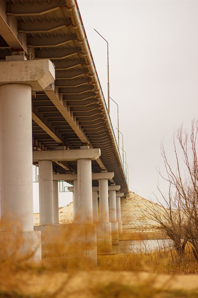 Photograph by Ирина Коновалова