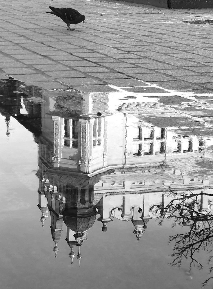 Photograph by Palina Mikhailouskaya