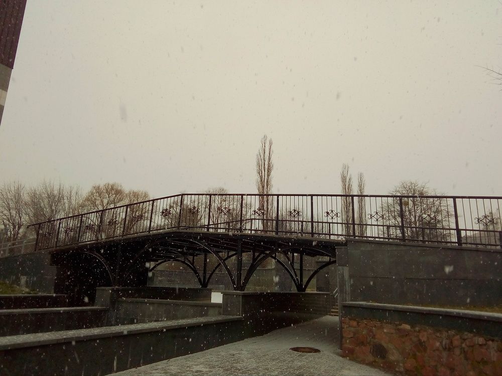 Photo #6946626
