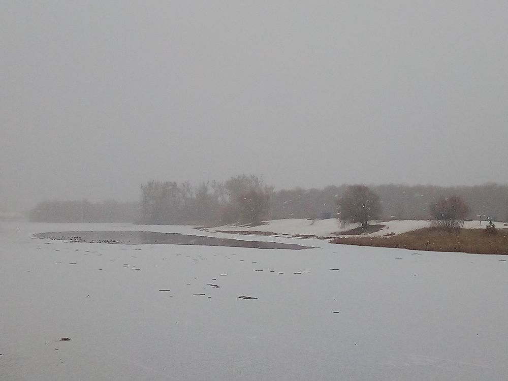 Photo #6946647