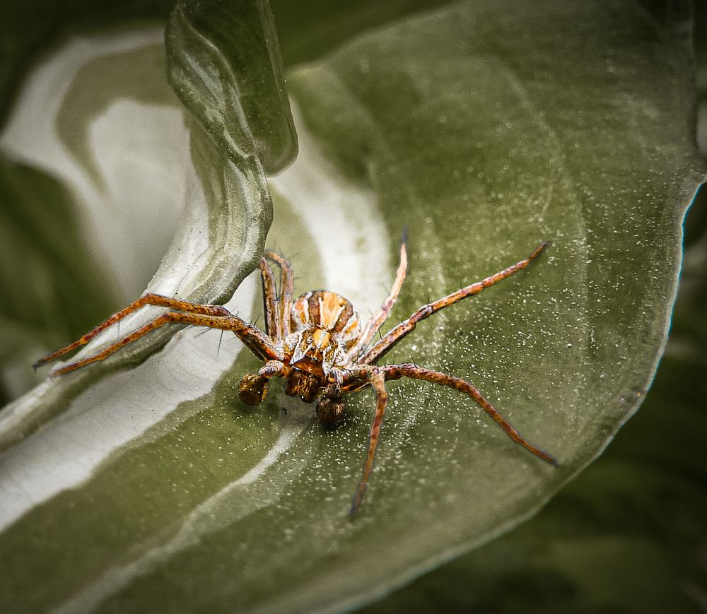 Photograph by Ольга Еженевская