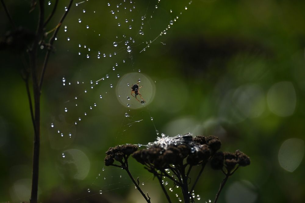 Photograph by 