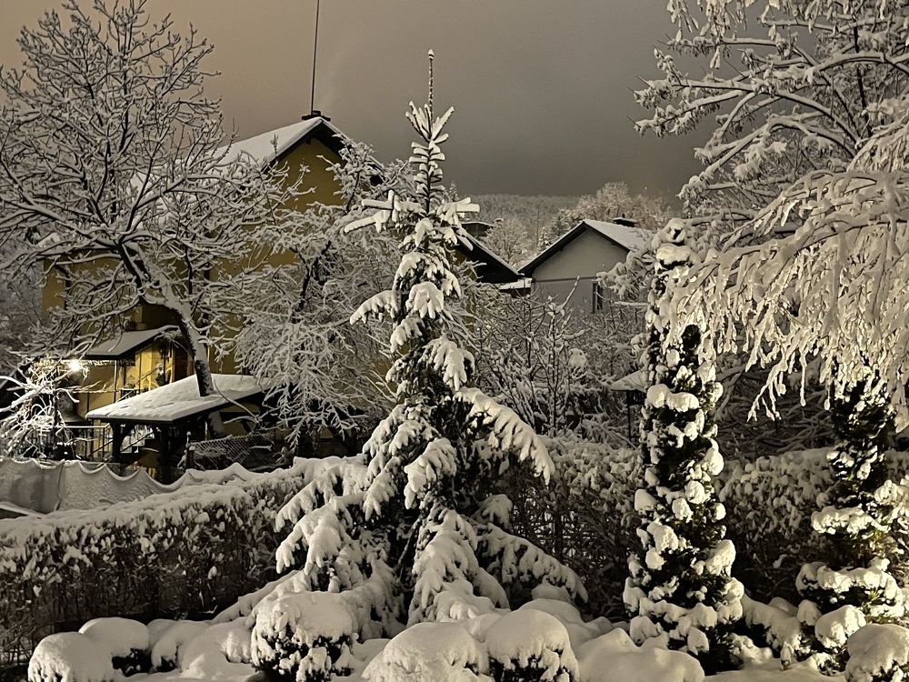 Photograph by Milena Ribarova