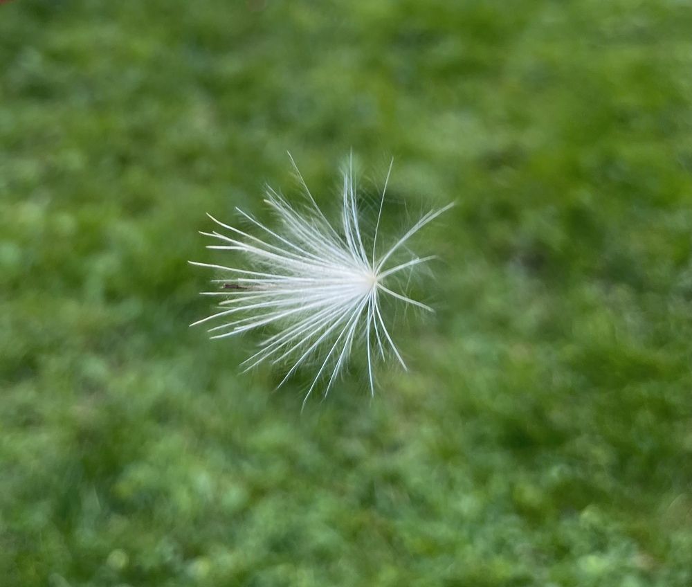 Photograph by Milena Ribarova