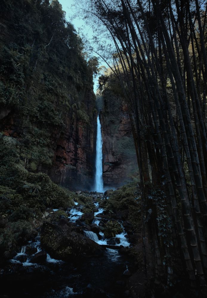 Фотография автора Amal Prasad