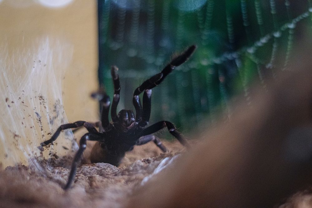 Фотография автора Alexander Komarov