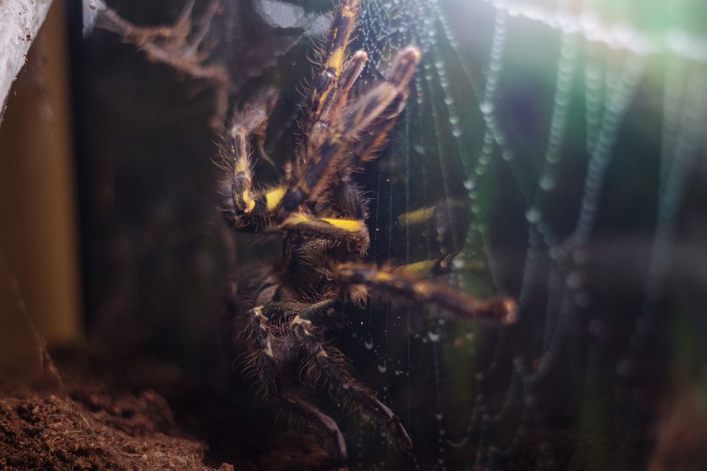 Фотография автора Alexander Komarov