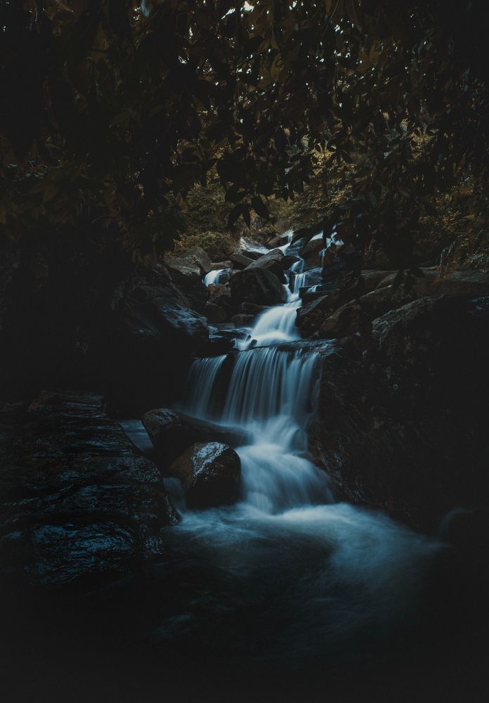 Фотография автора Amal Prasad