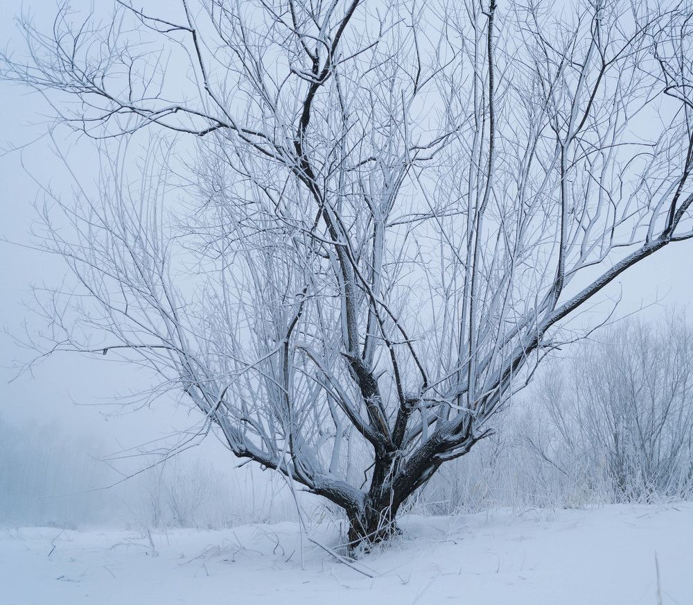 Photograph by Илья Бузаев