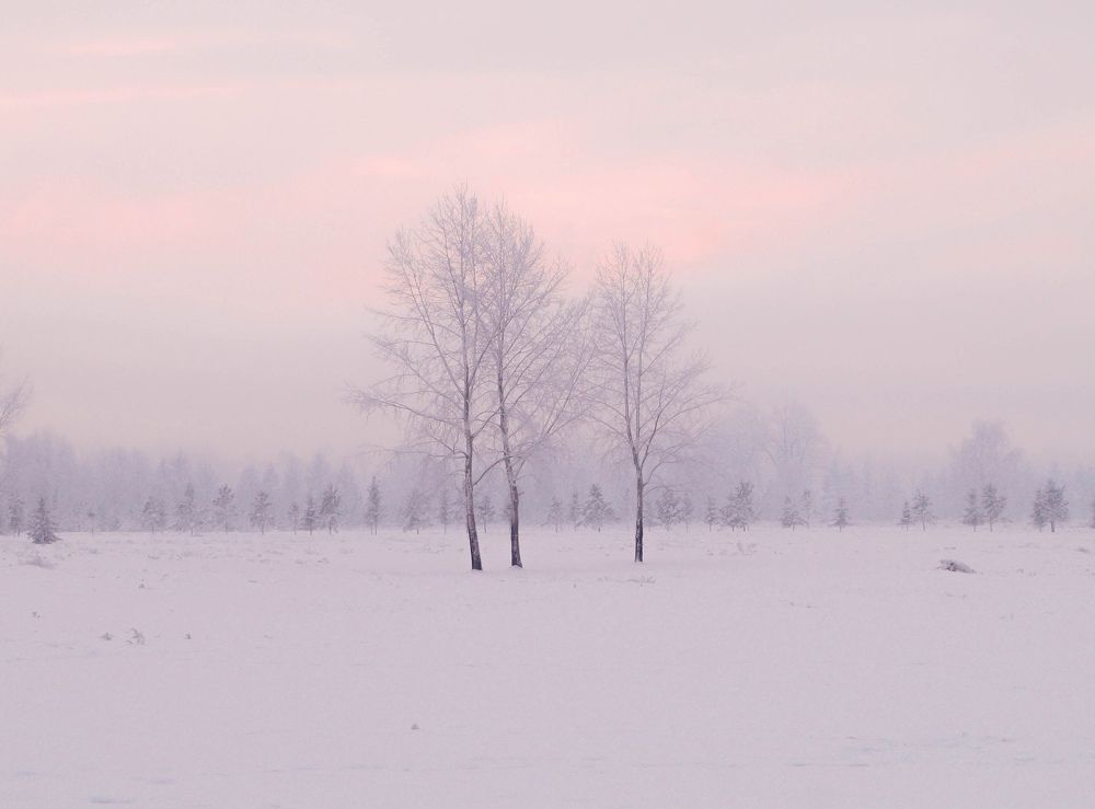 Photograph by Илья Бузаев