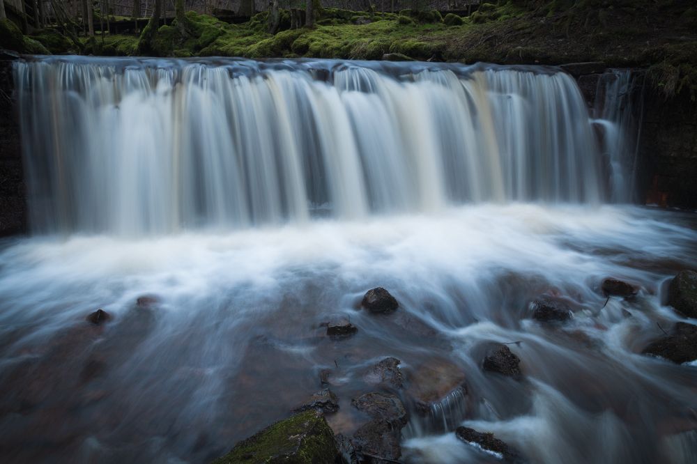 Photograph by Дмитрий Рябцев