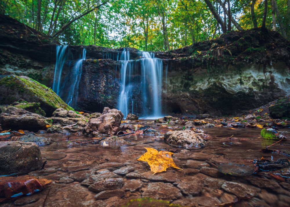 Photograph by Дмитрий Рябцев