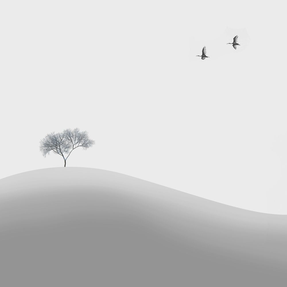 Photograph by kamiar hoseinipour