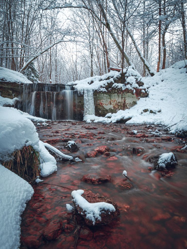 Photograph by Дмитрий Рябцев