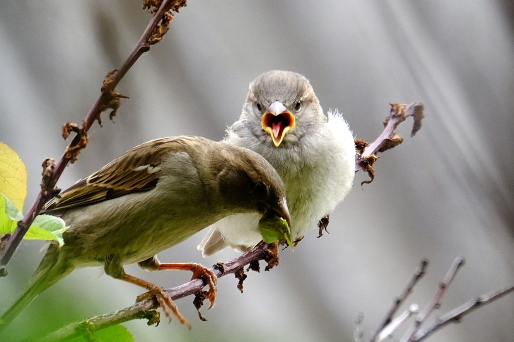 Photograph by Сергей Парантаев