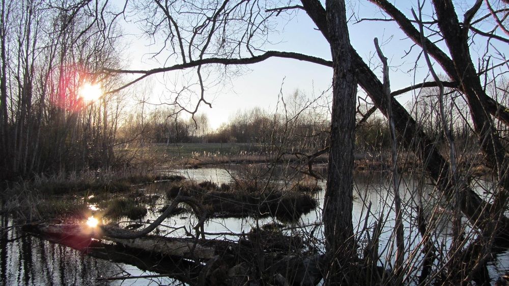 Photograph by Natalja Rogalova