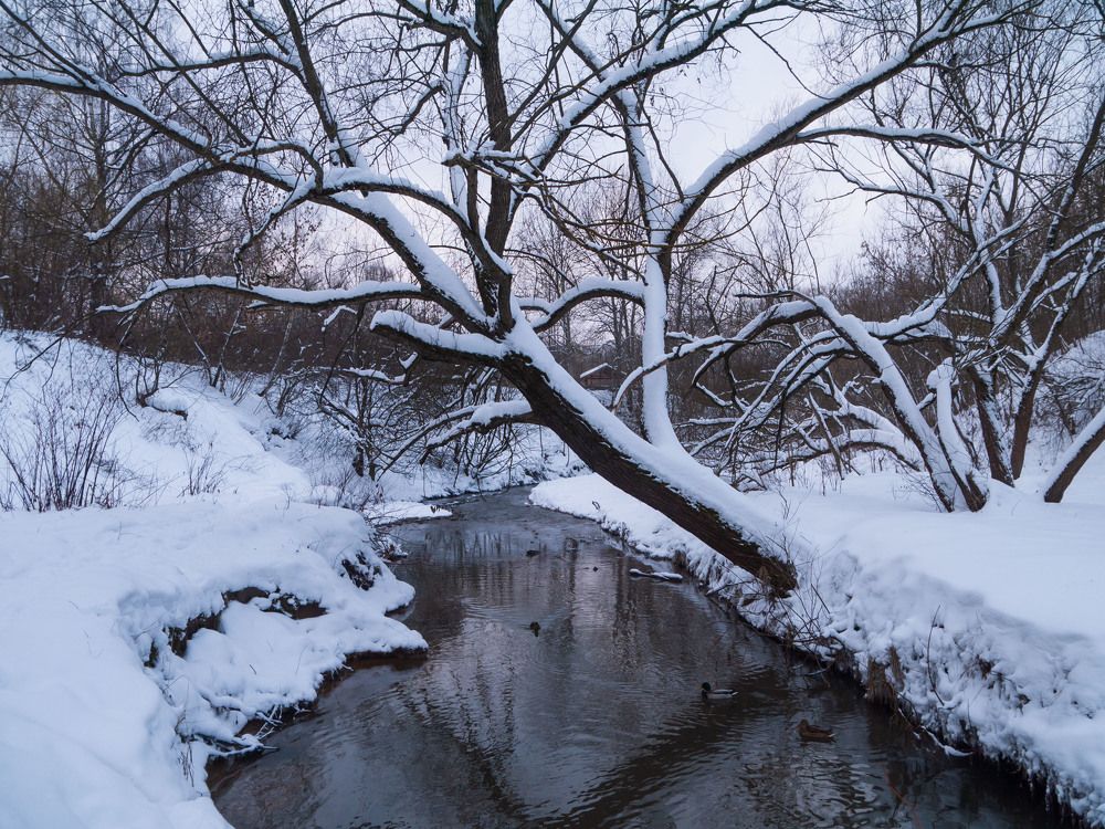 Photograph by Михаил Шохин
