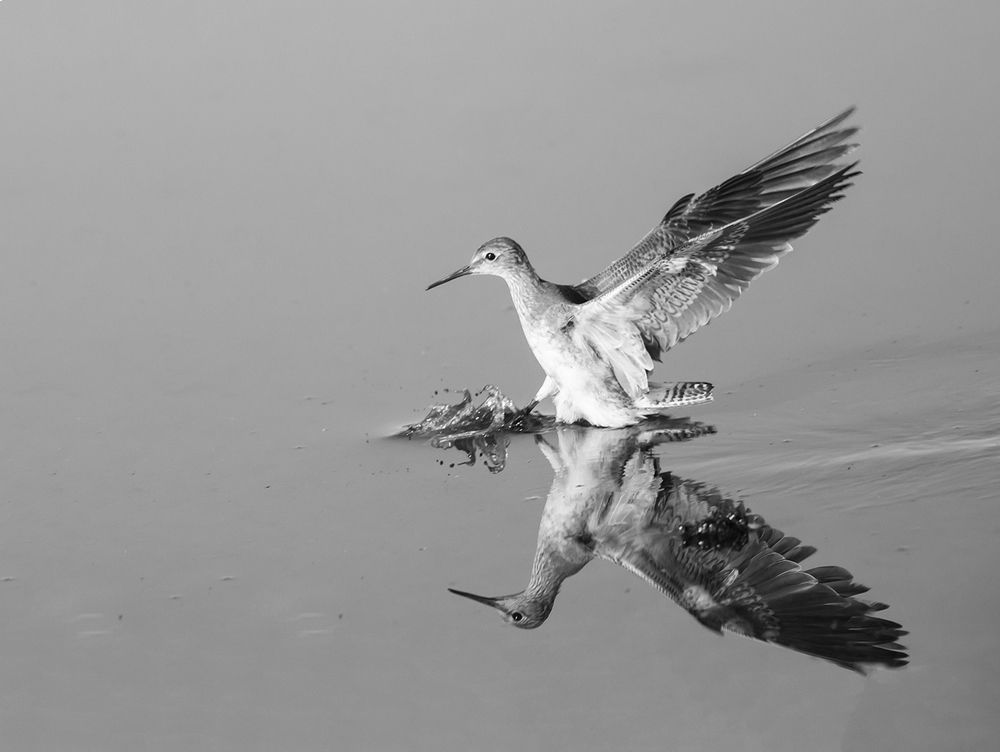 Photograph by Paulo Guerra