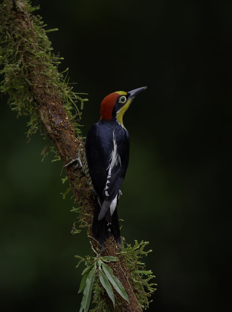 Photograph by Edilene Guerra