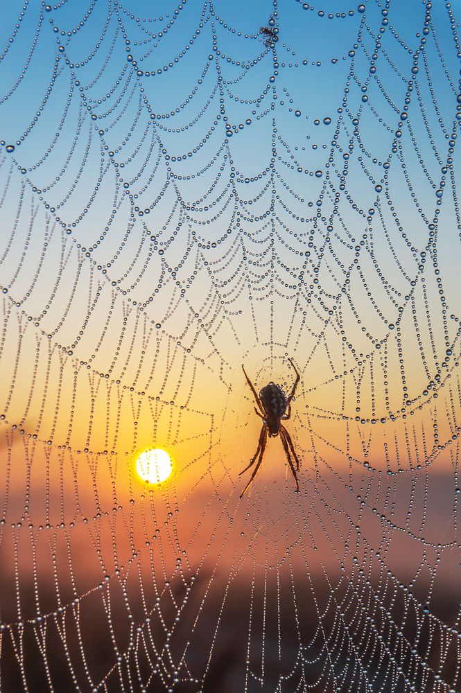 Photograph by Алексей Будник