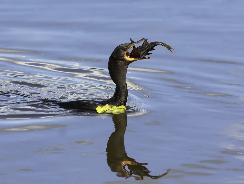 Photograph by Edilene Guerra