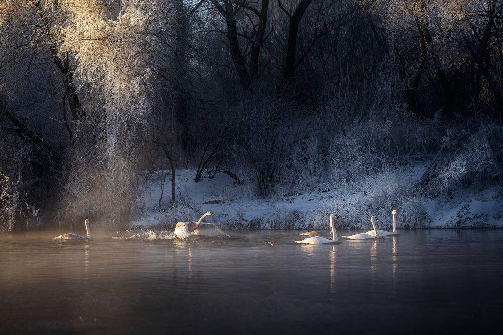 Photograph by Роман Балонкин