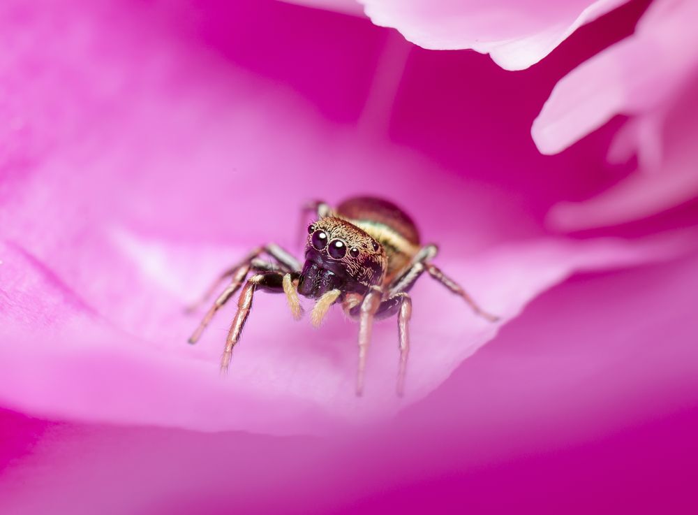 Photograph by Владимир Богданов