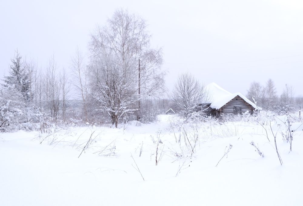 Photograph by Татьяна Павловская