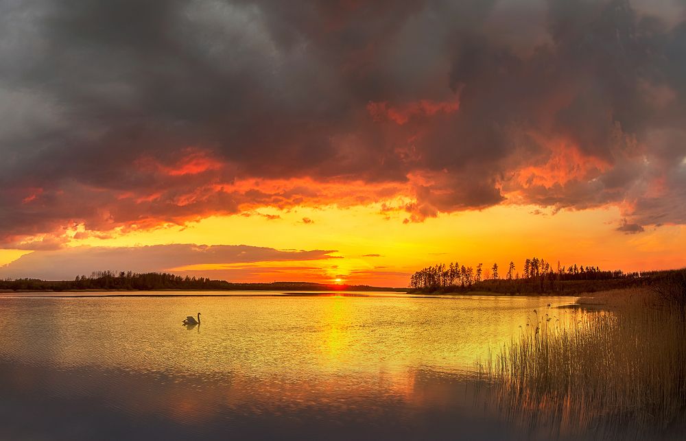 Photograph by Роман Балонкин