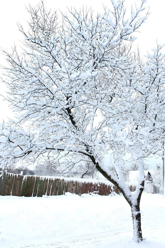 Photograph by Дарья Ващенко-Панкина