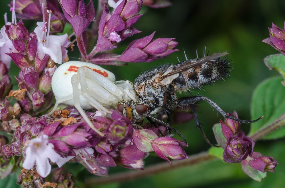 Photograph by Владимир Богданов