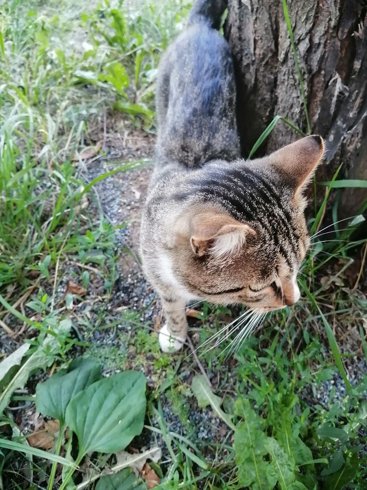 Photograph by Наталия