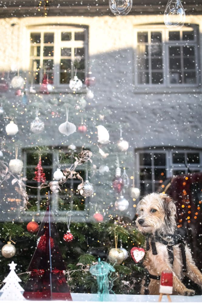 Photograph by Luiza Khisamutdinova